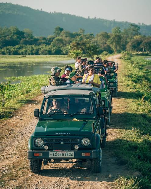 Kaziranga National Park safari view