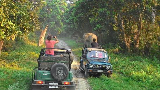 Kaziranga safari slide 3