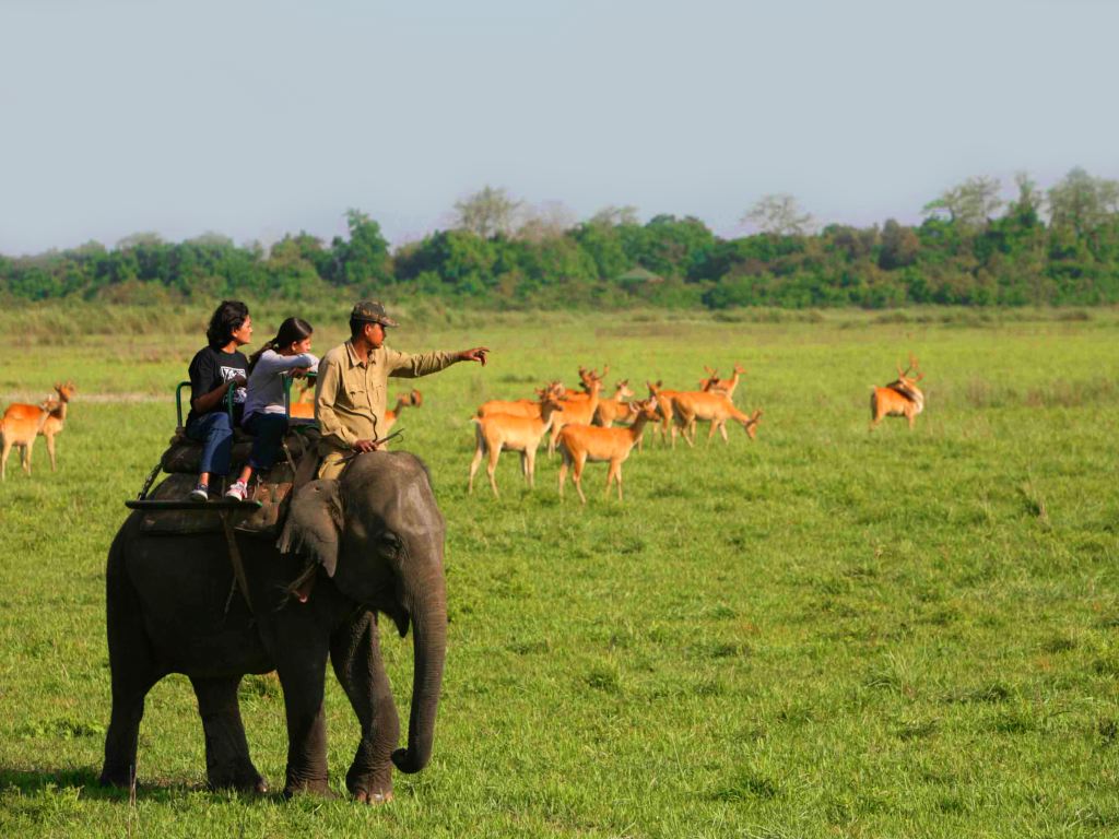 Kaziranga safari slide 7